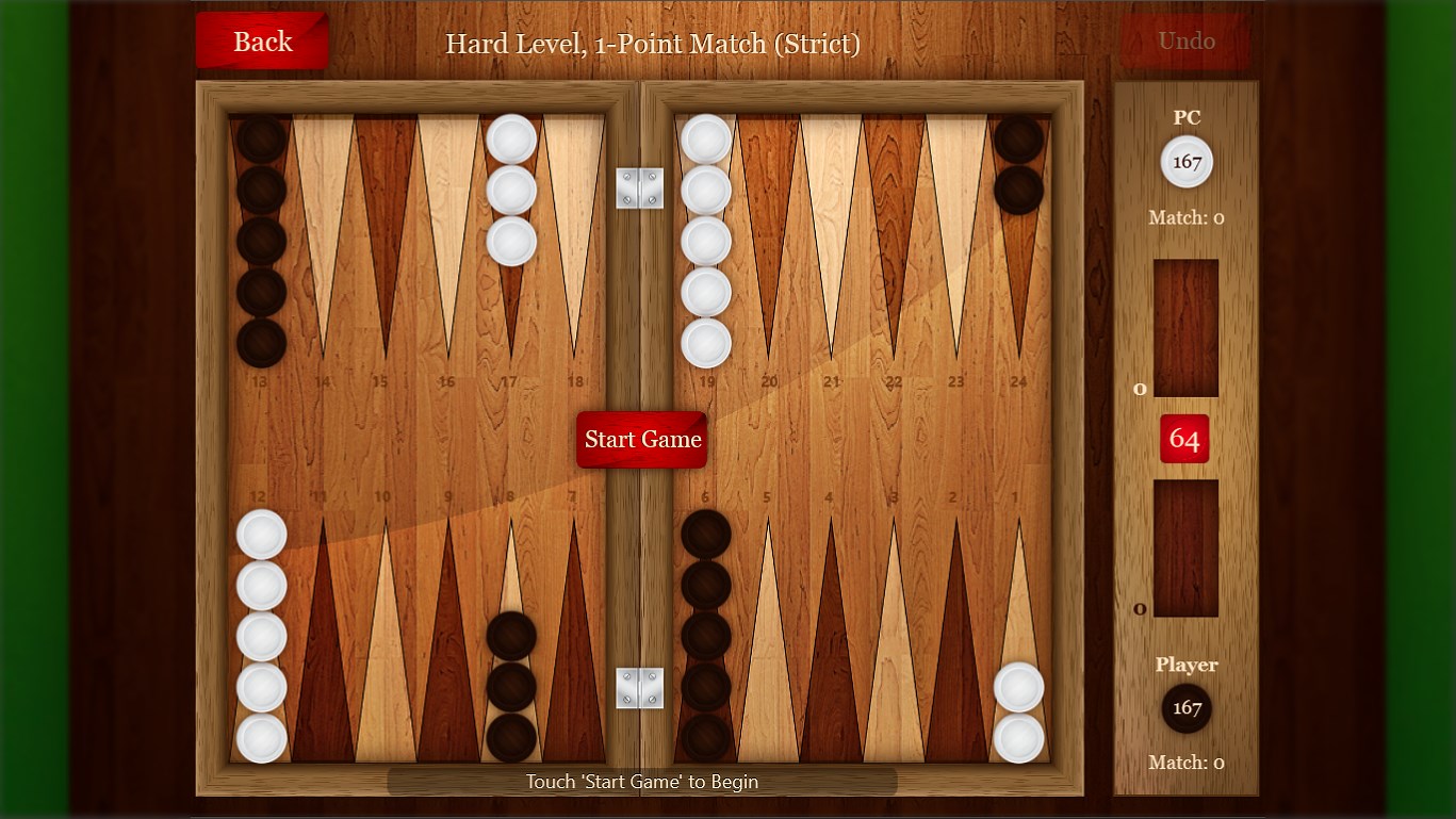 Beautiful backgammon board